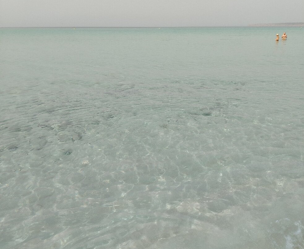 Platja Des Arenals-福门特拉岛必去景点