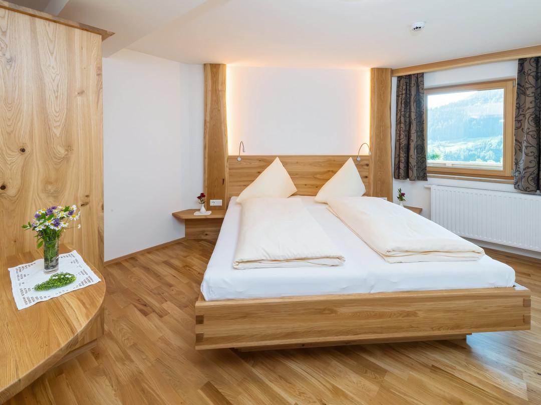 Alpenhotel Wanderniki主图