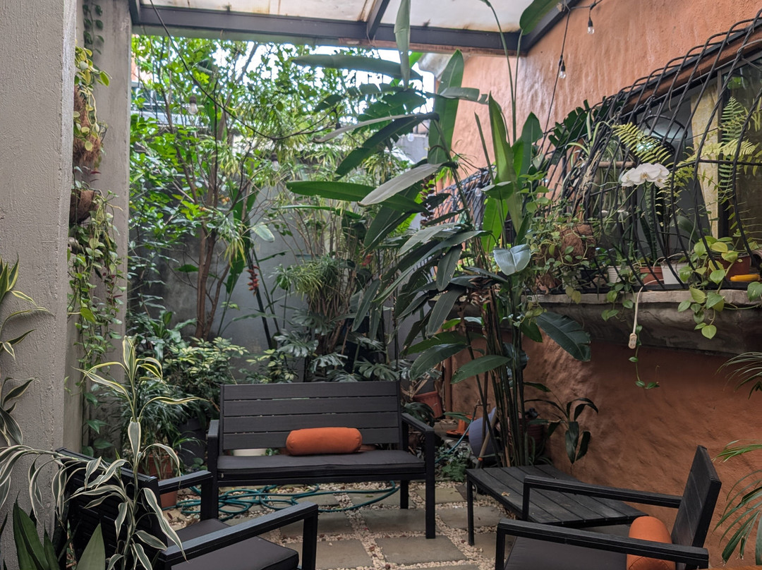 Tico Lingo-爱雷迪雅必去景点