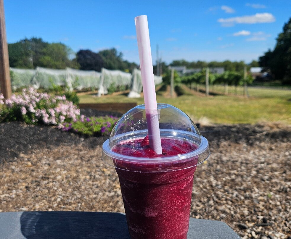 Knox Vineyards-Chalfont必去景点