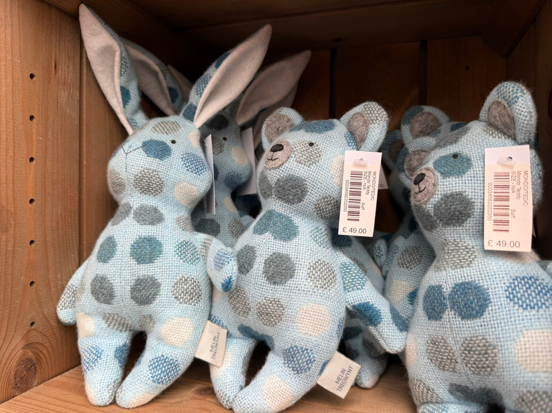 Melin Tregwynt Woolen Mill-Castlemorris必去景点