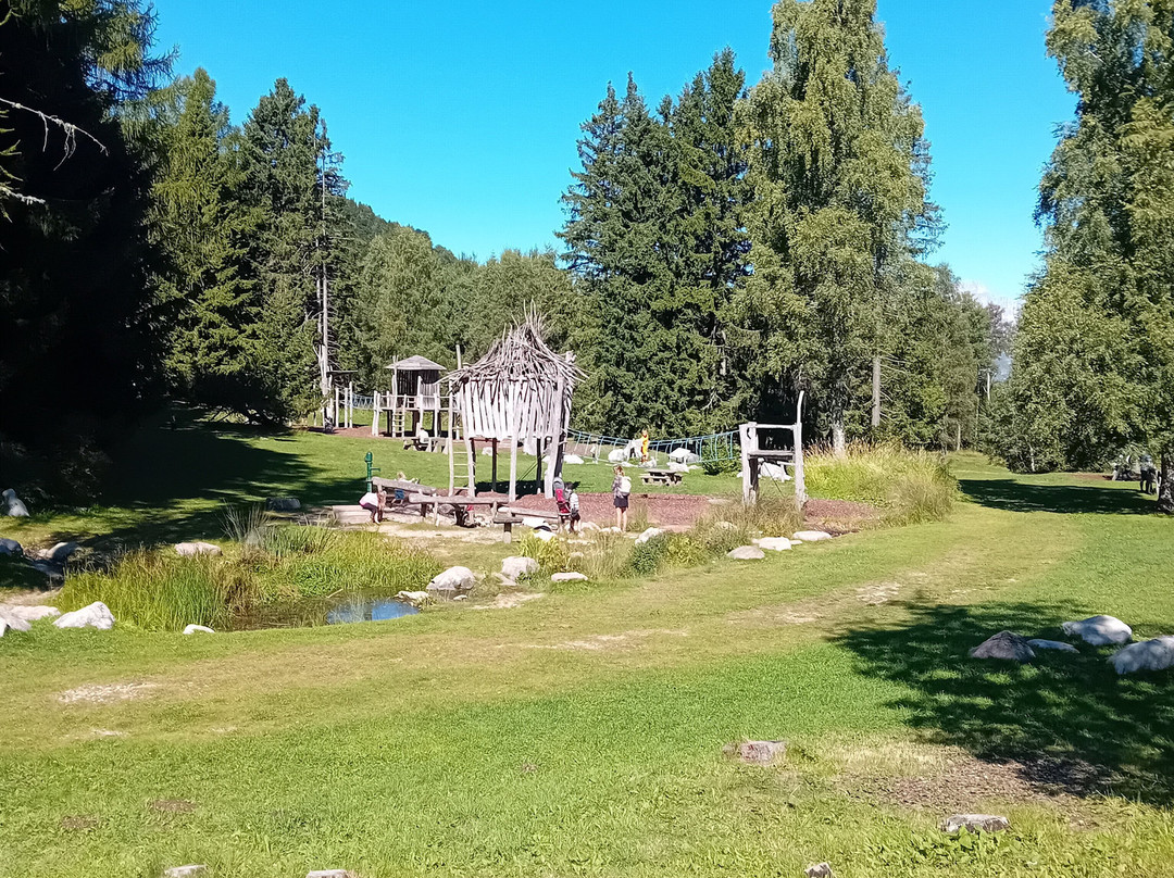 Giardino Botanico Alpino Viote di Monte Bondone-特伦托必去景点