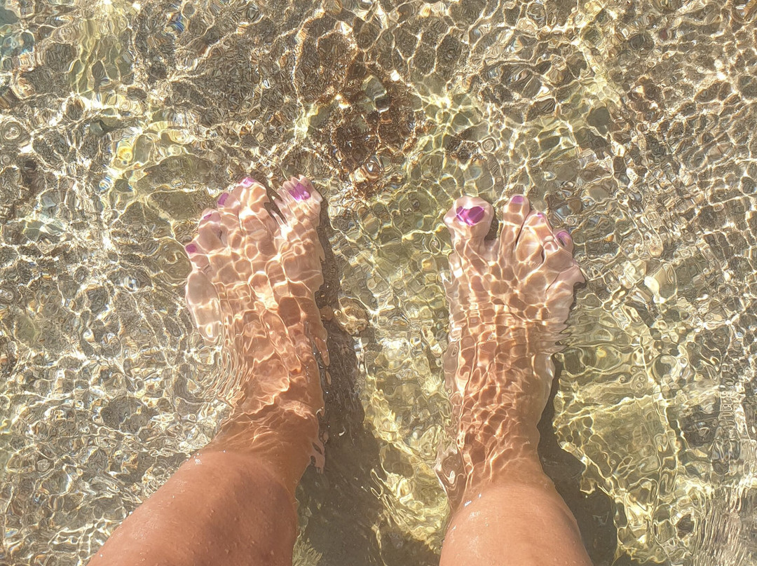 B&B Sole Luna e Girasoli主图