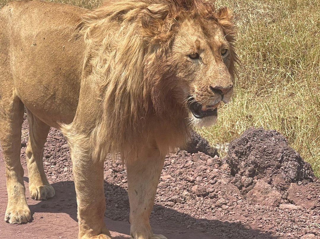 Sound Of Tanzania Explores-阿鲁沙必去景点