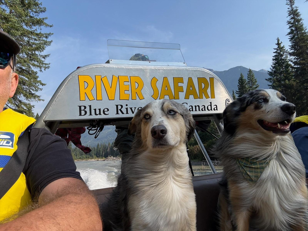 River Safari-Blue River必去景点