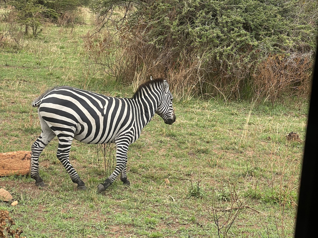 Katikati Tours and Safaris-阿鲁沙必去景点