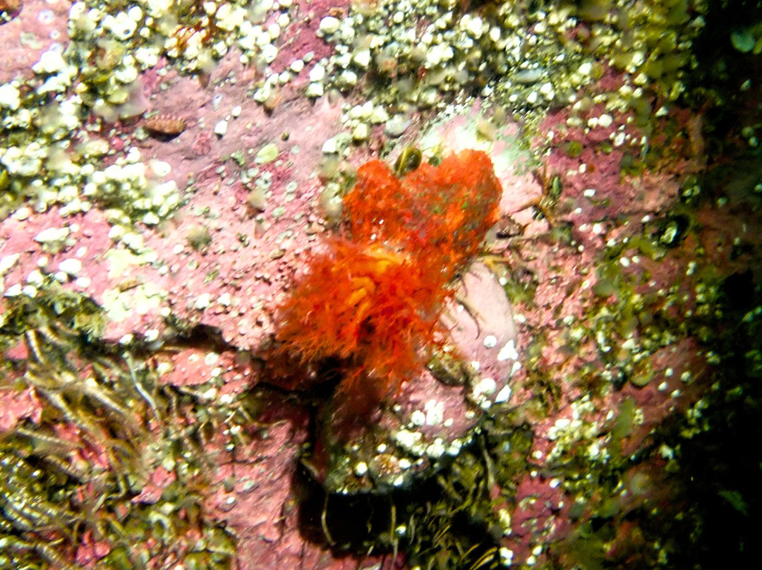 Club Nautique de Percé-Perce必去景点