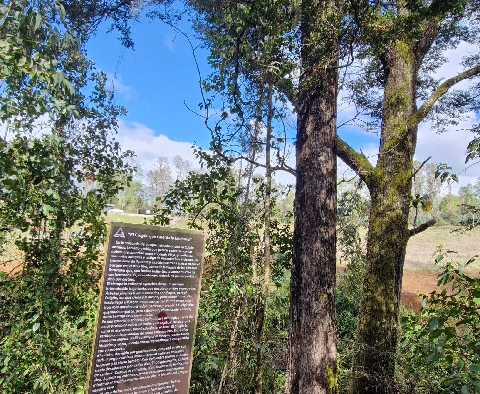 Turismo Pitrufquén-Pitrufquen必去景点