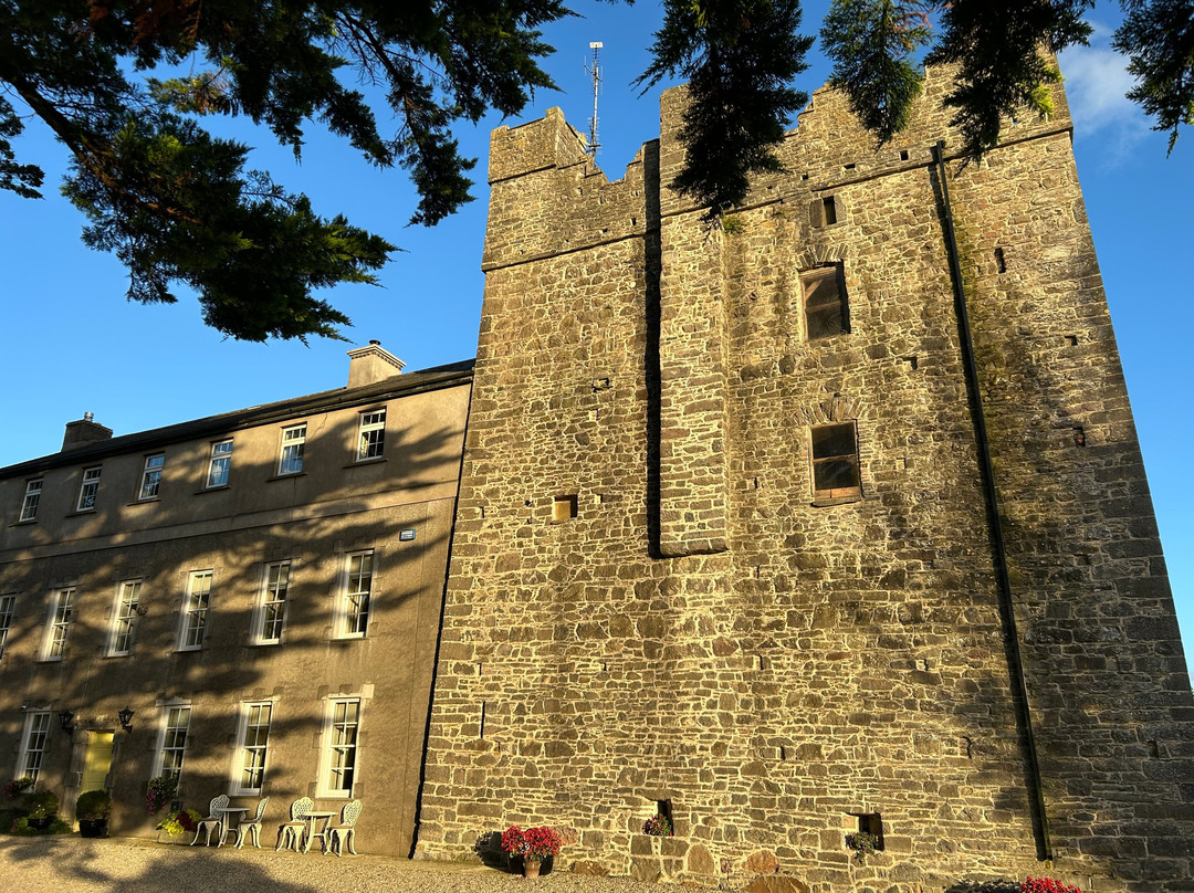 Killiane Castle Country House & Farm主图