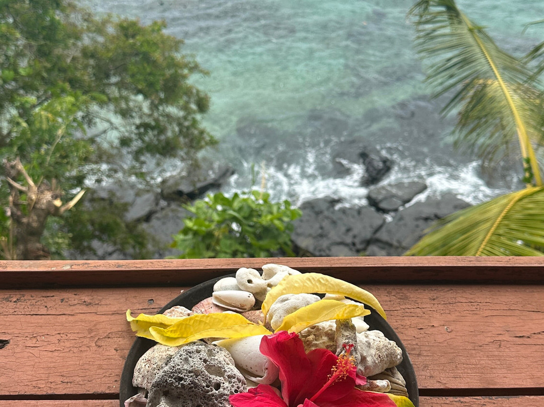Reef Life Taveuni-马太必去景点