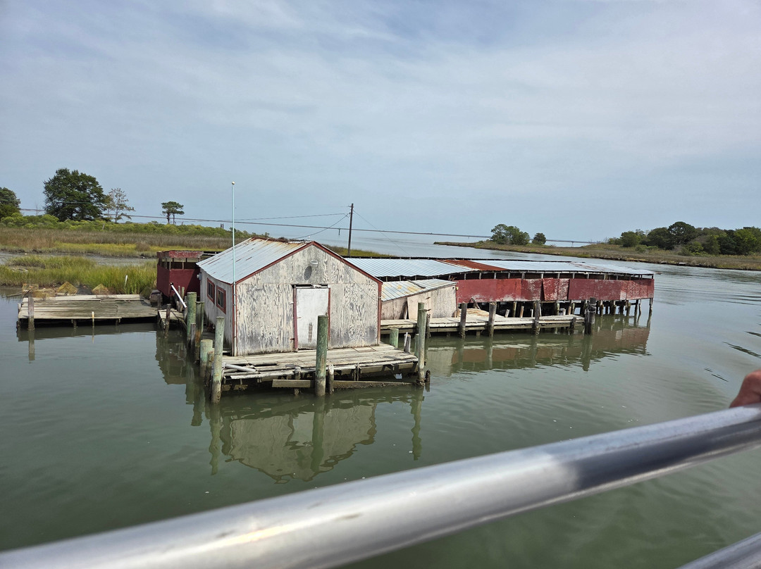 Smith Island Cruises-Crisfield必去景点