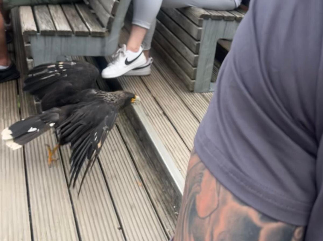 Deutsche Greifenwarte-Hassmersheim必去景点