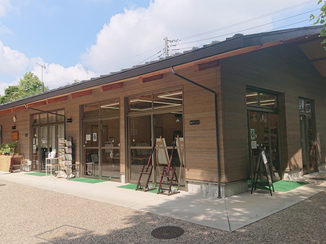 Akatsuka Botanical Gardens-板桥区必去景点