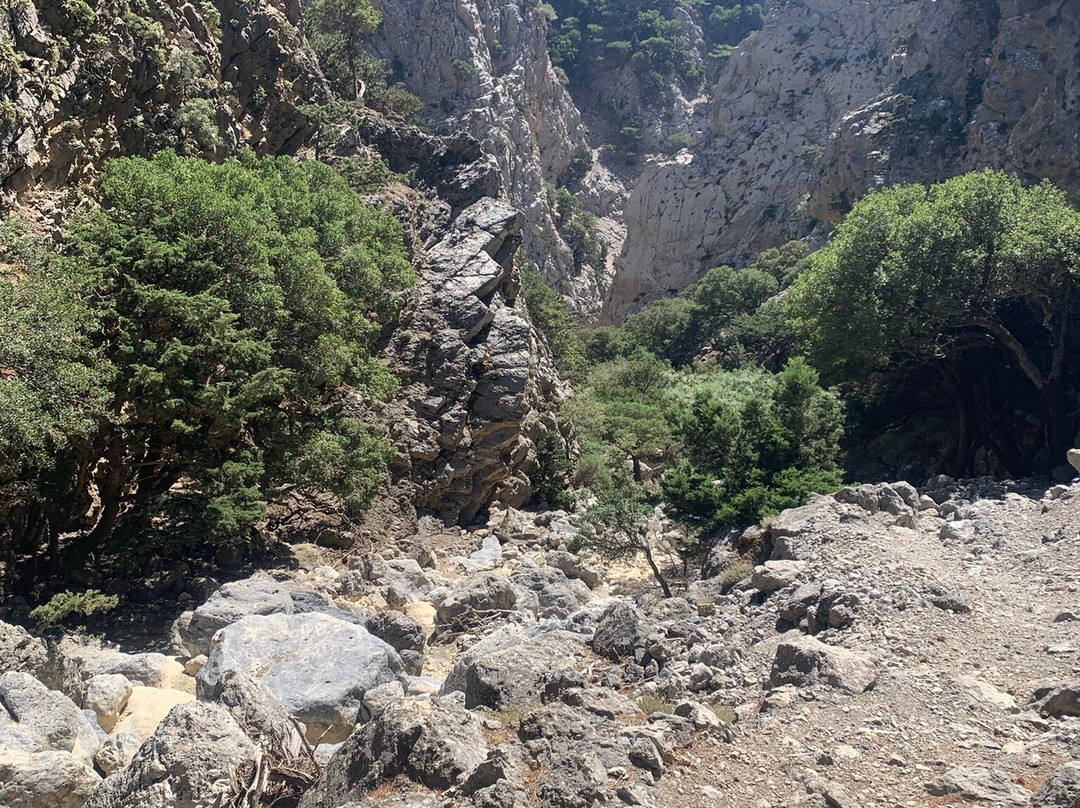 Rouvas Gorge (Agiou Nikolaou)-Zaros必去景点