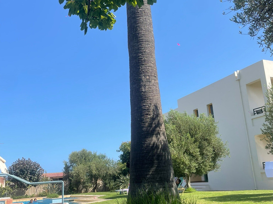 Lycasti Maisonettes主图