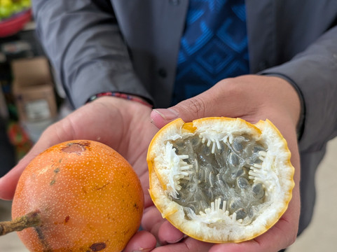 Ecuador Tour Guide Sebastian Carrera-基多必去景点
