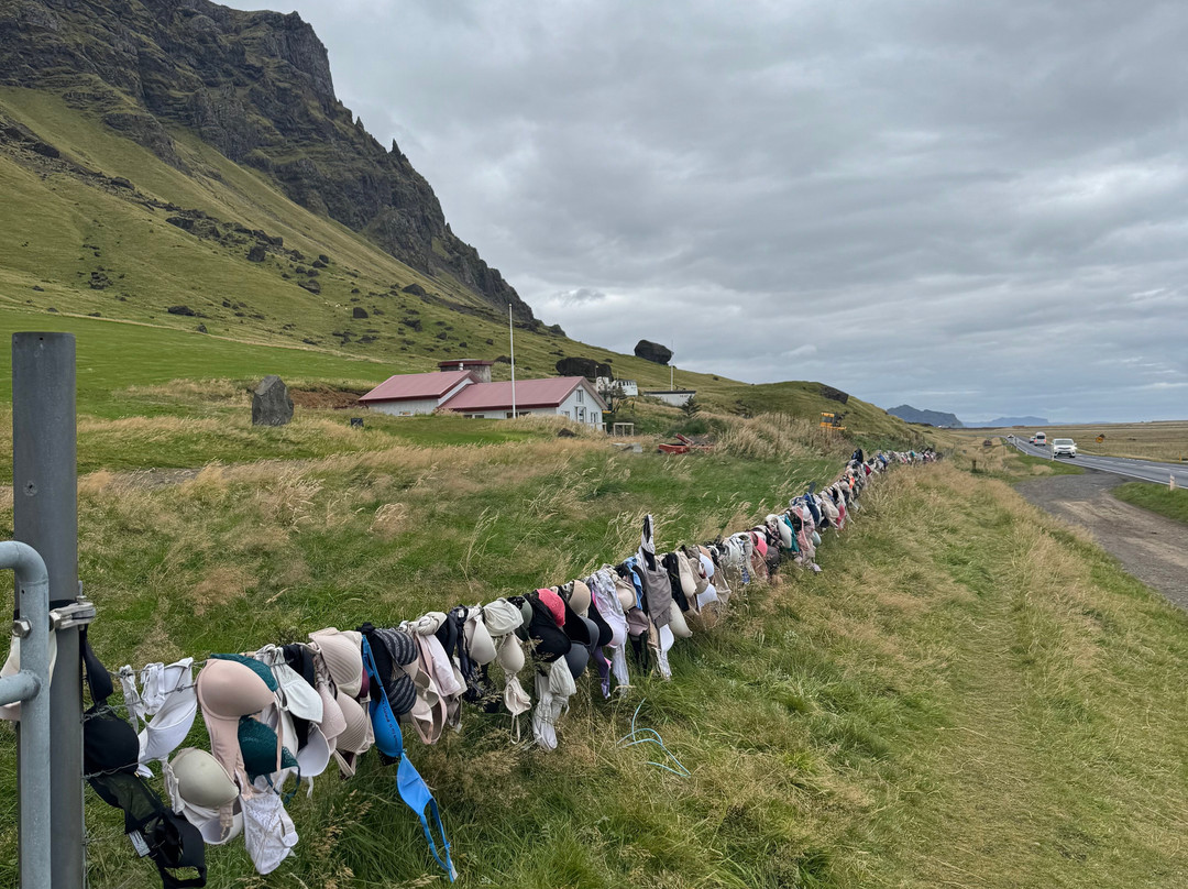 Bra Fence-Holt必去景点