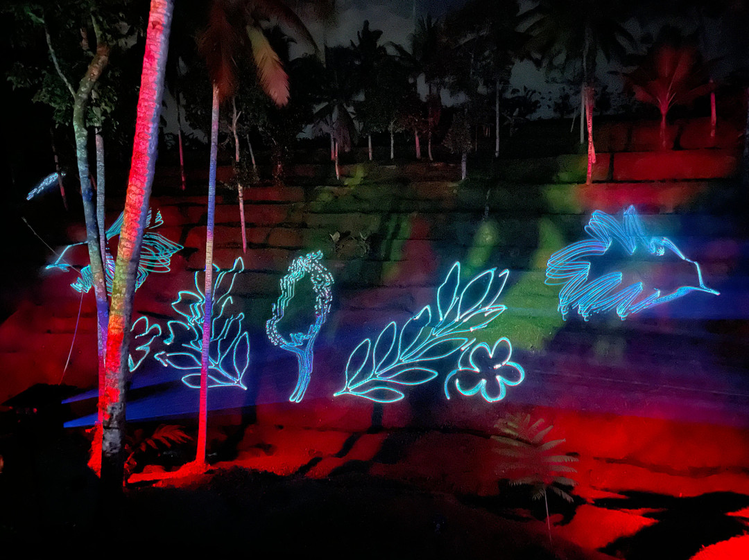 Hikaria: Bali's First Immersive Night Walk-Tegallalang必去景点