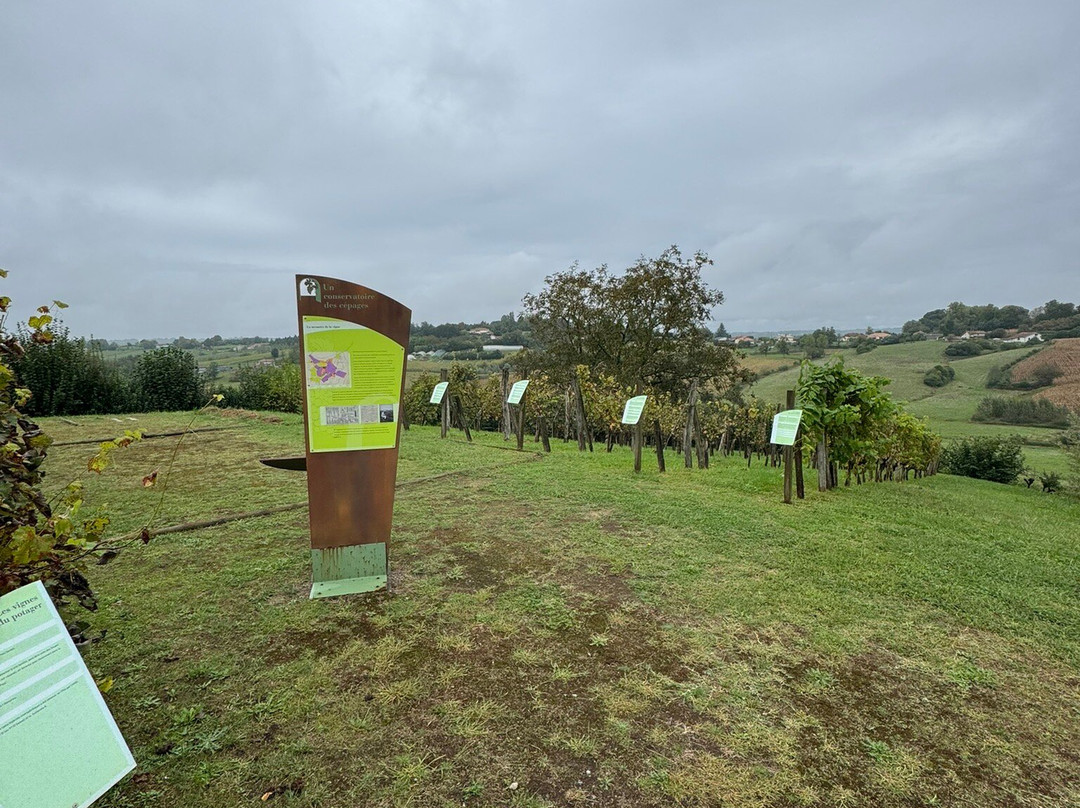 MUSEE DE LA CHALOSSE-Montfort-en-Chalosse必去景点