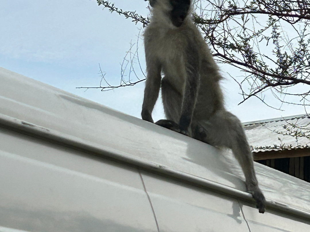 Jinja Bike Tours And Safaris-Buikwe必去景点