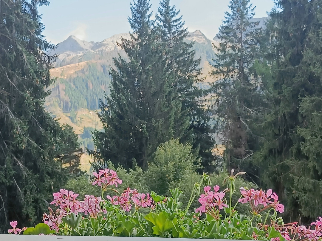 加拿大酒店主图