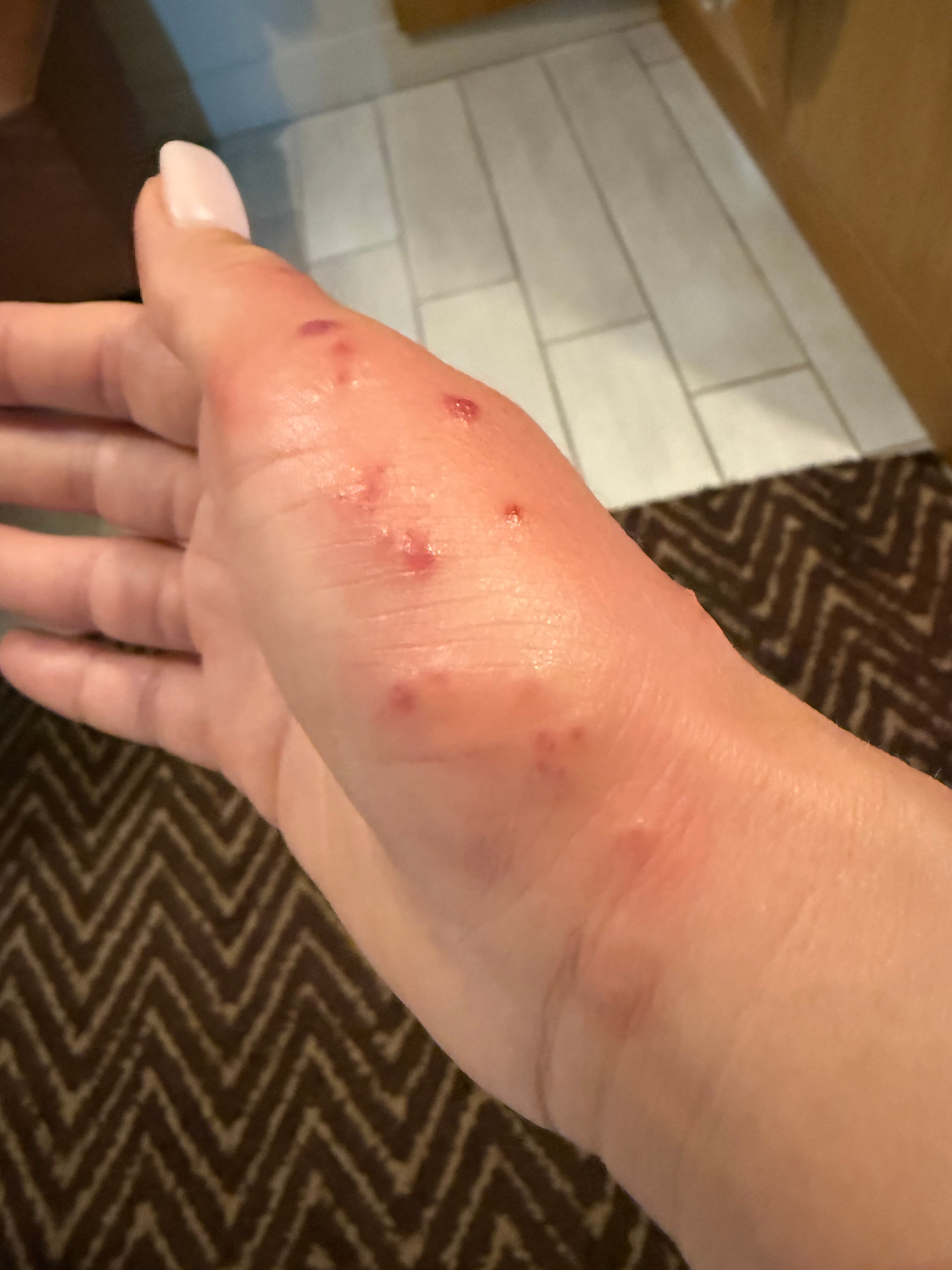 Il Faro Di Molara-官方