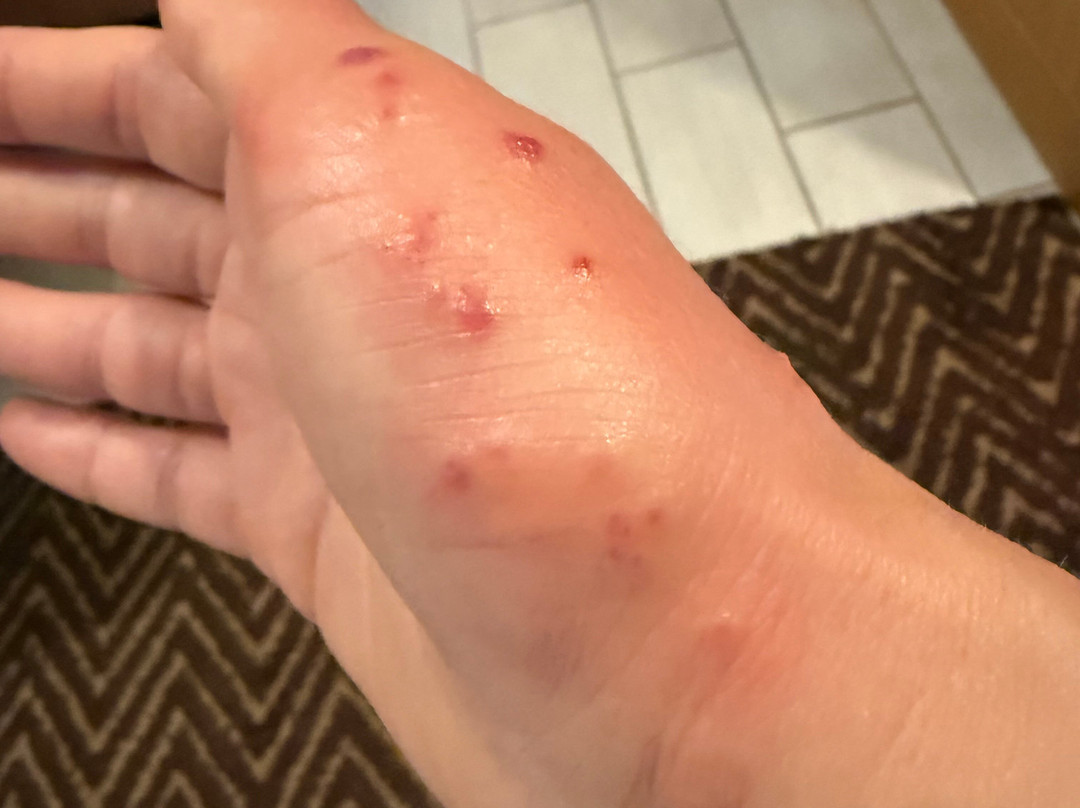 Il Faro Di Molara主图