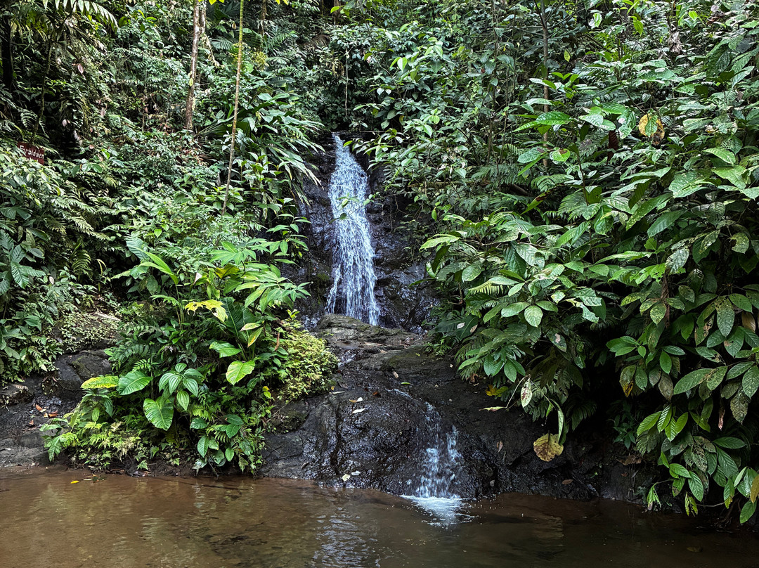 Tundo Tours-Bahia Solano必去景点