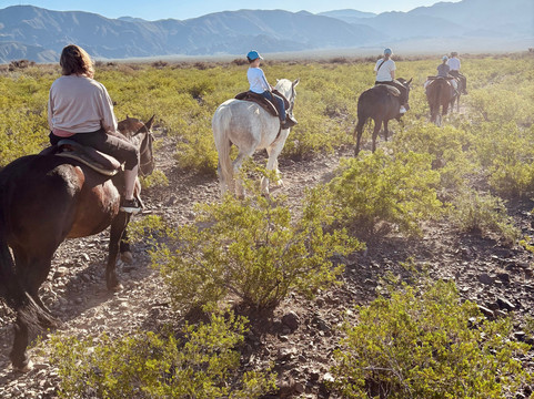 Rancho El Jarillal-门多萨必去景点