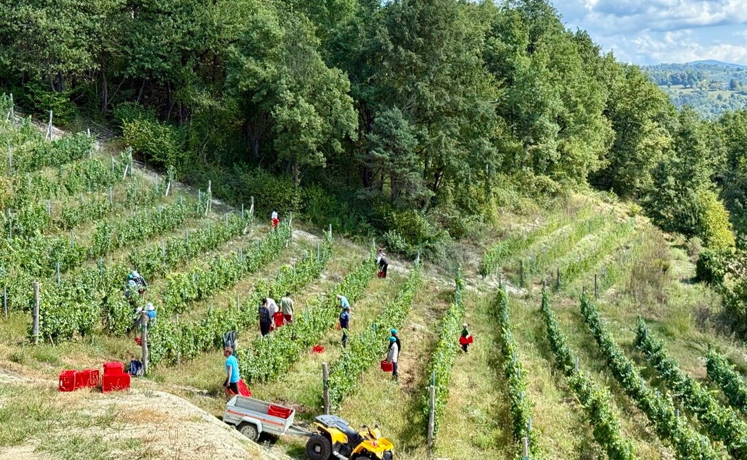 Podere Martina-Murazzano必去景点