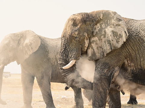 Nature Africa Safaris Namibia-温德和克必去景点