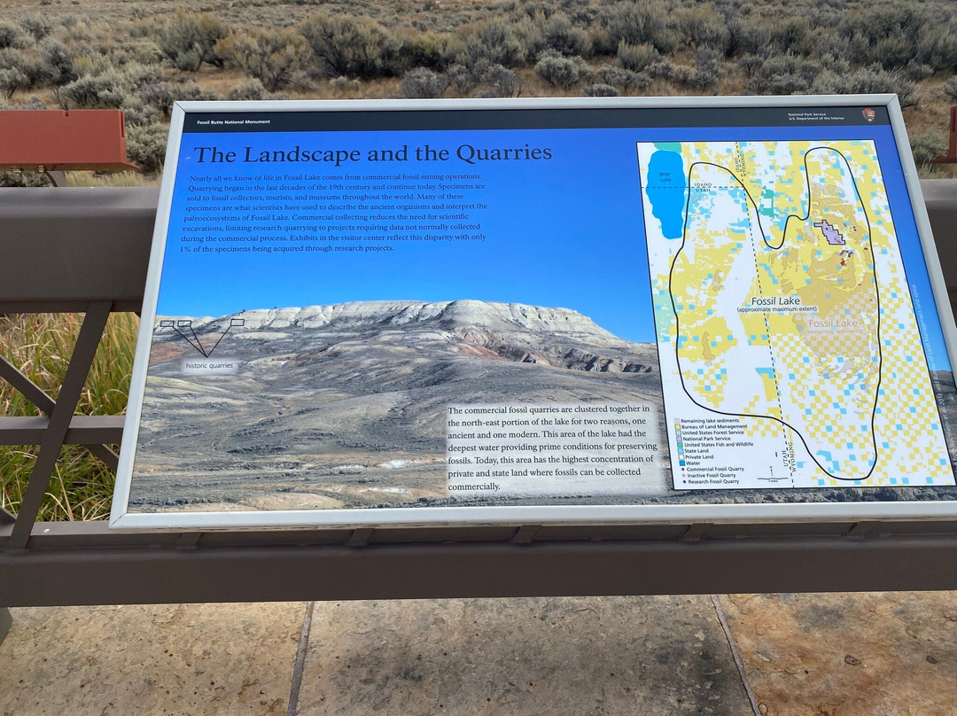 Fossil Butte National Monument-Kemmerer必去景点