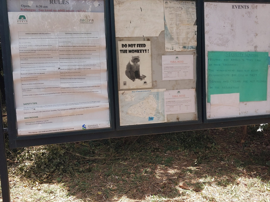 Nairobi Arboretum-内罗毕必去景点