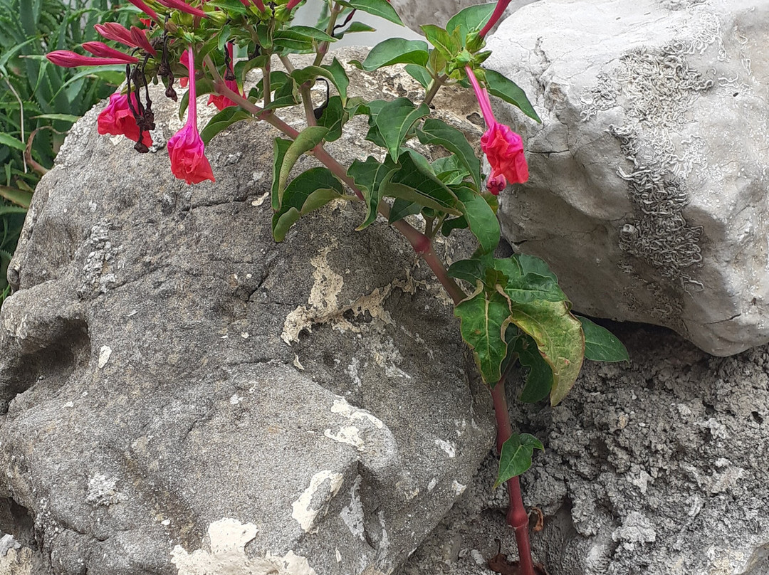 Tellis Holiday Rooms By Hotelius主图