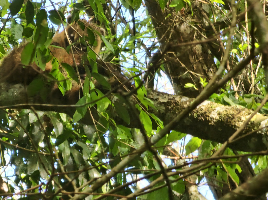 Guayi Travel-伊瓜苏必去景点