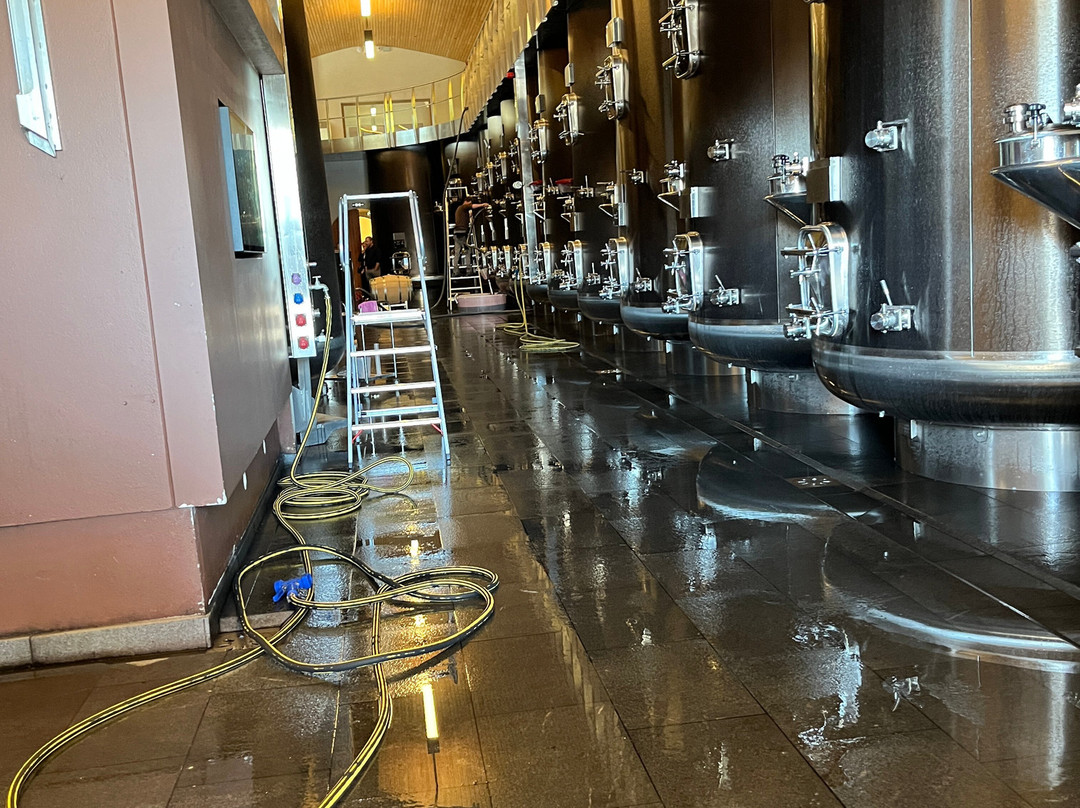 Chateau Fleur de Lisse-圣希波律图必去景点