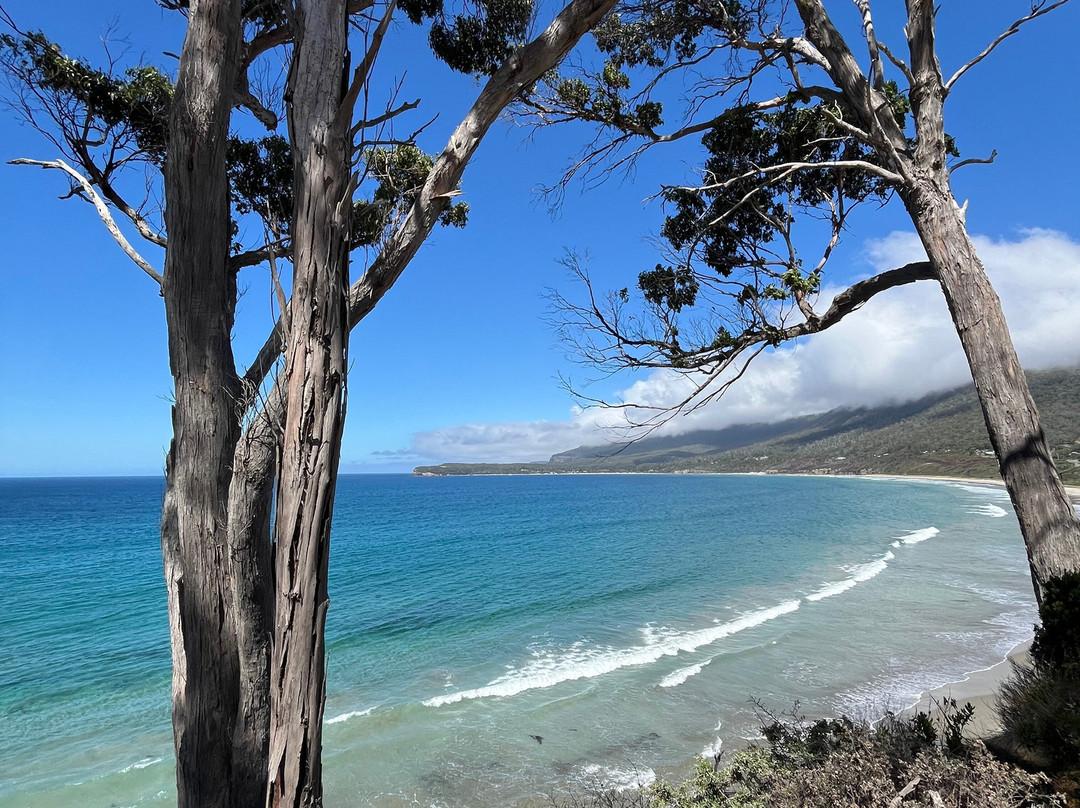 Tessellated Pavement-伊格尔霍克内克必去景点