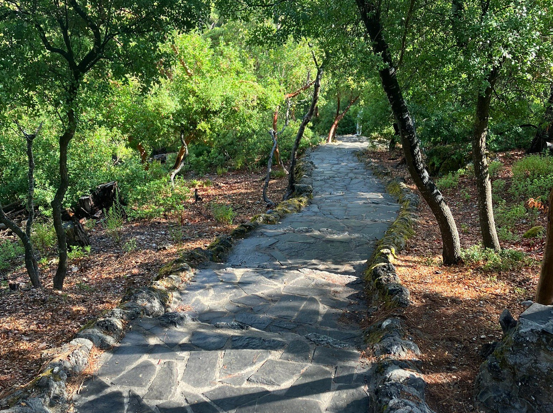 Butterflies Valley-Epano Kalamonas必去景点