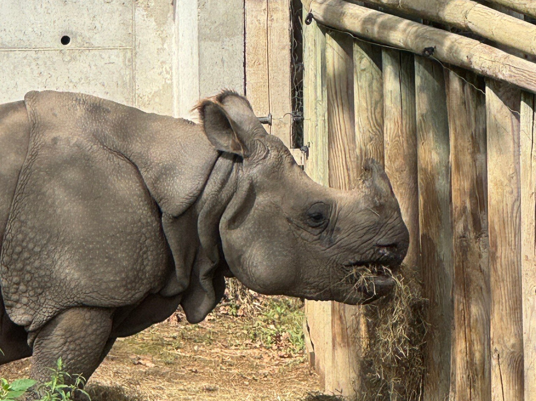 Touroparc Zoo-Romaneche-Thorins必去景点