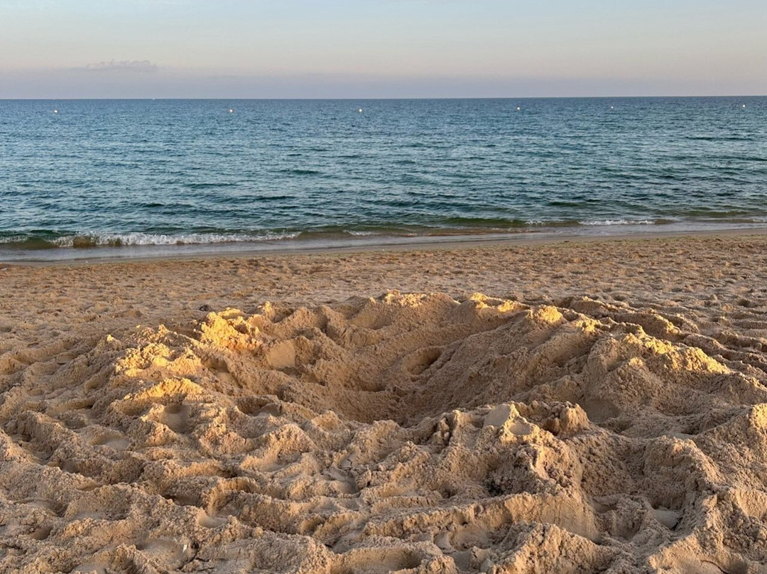 Praia do Barril-塔维拉必去景点