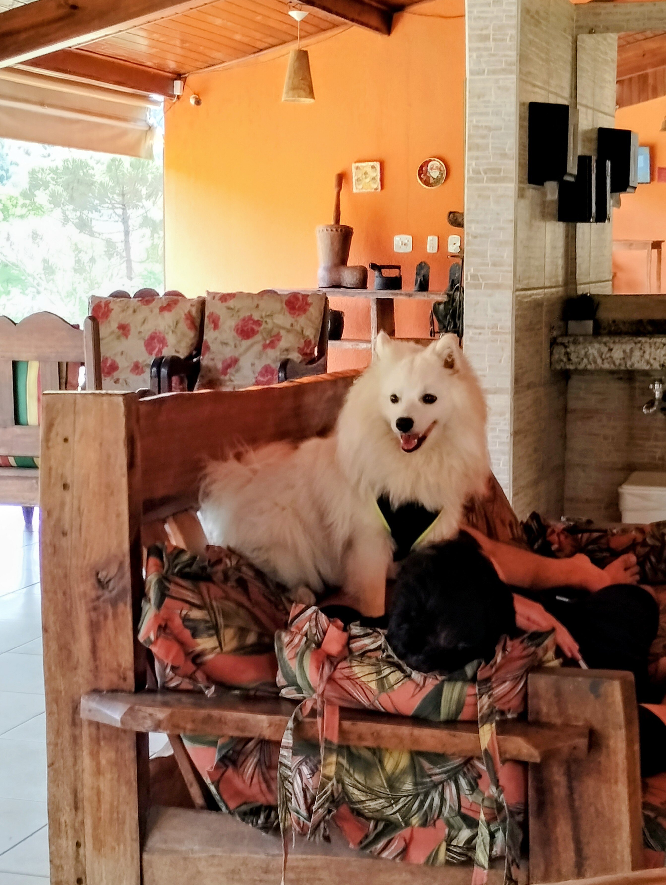 Hotel Fazenda Village Montana-浴室