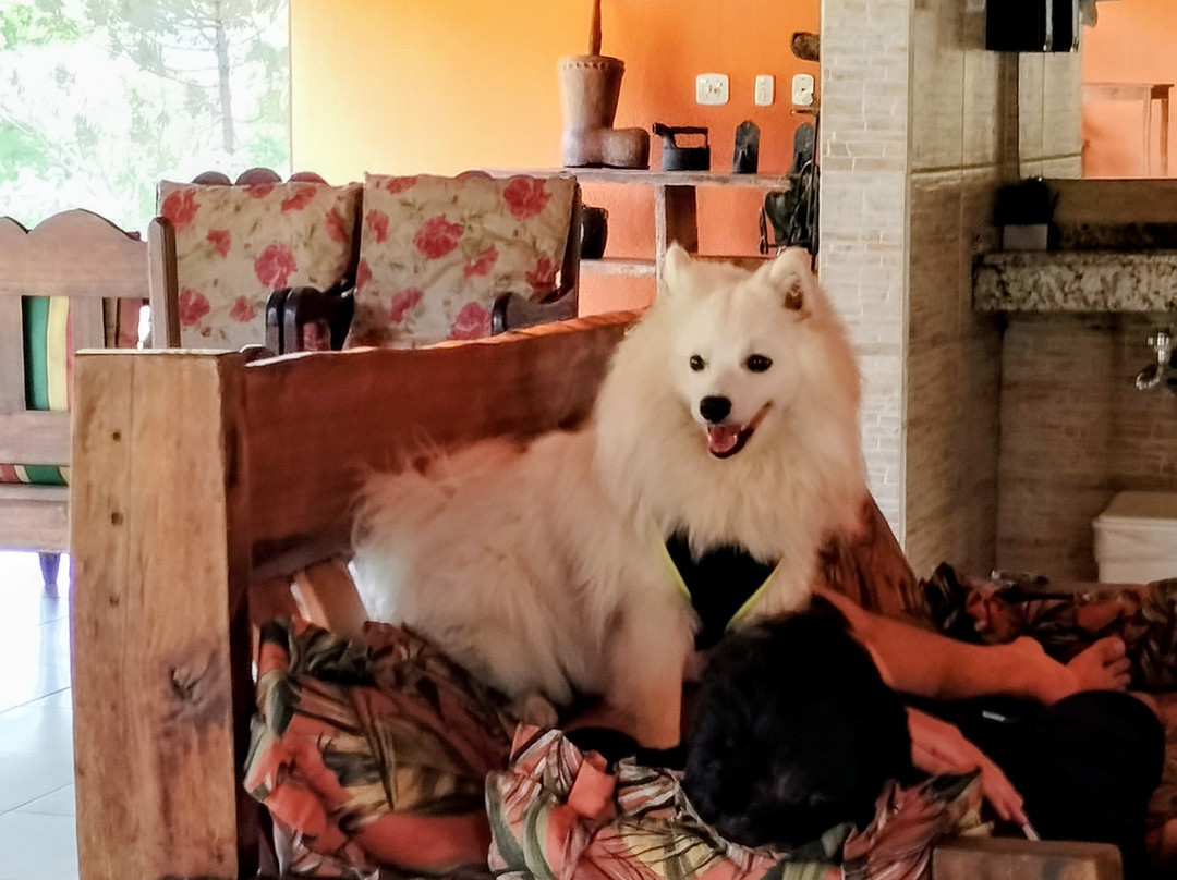 Hotel Fazenda Village Montana主图