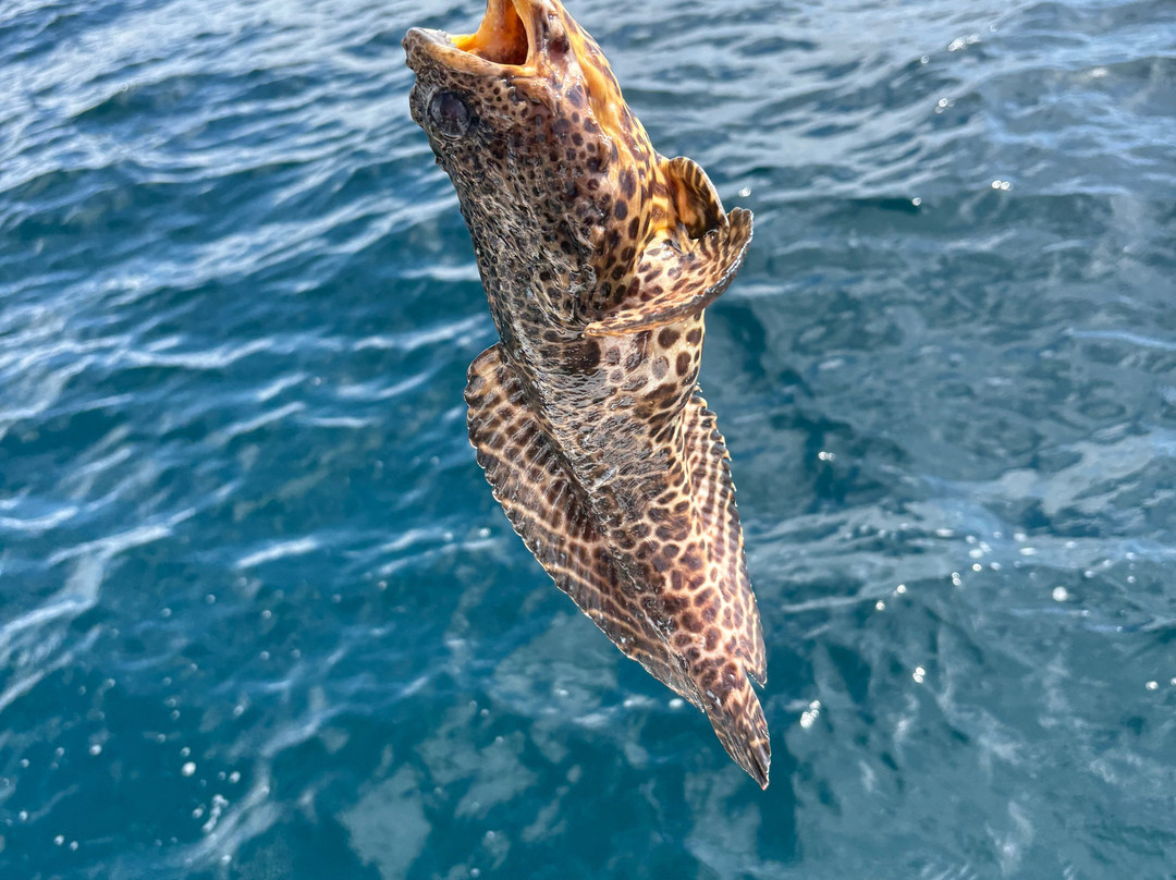 Panhandle Fishing Charters-华尔顿堡滩必去景点