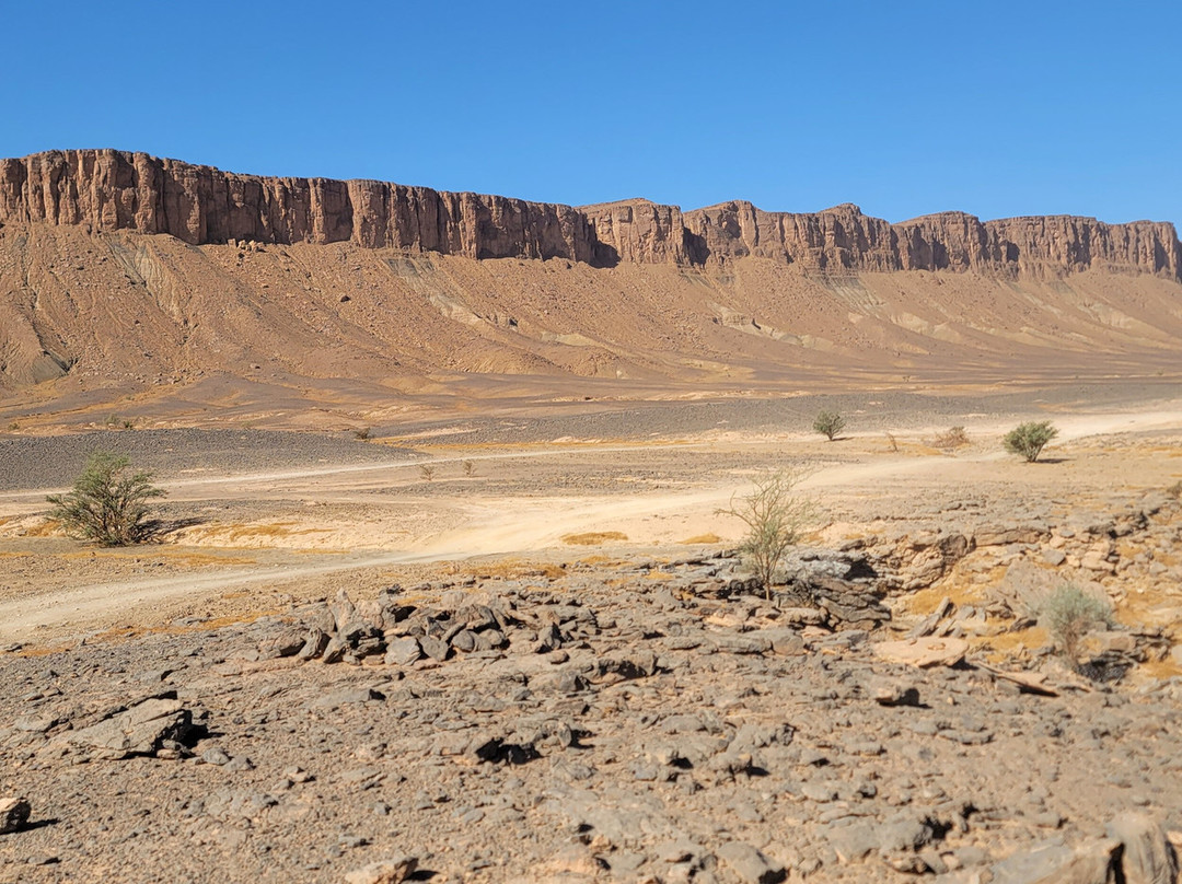 Desert Foum Zguid-Foum Zguid必去景点
