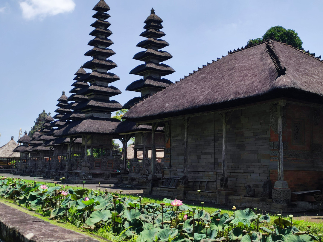 Bali Guide Francophone-登巴萨必去景点