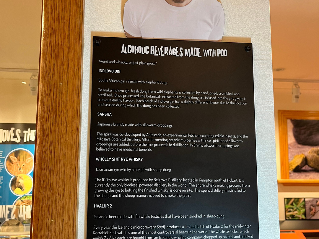 Pooseum-Richmond必去景点