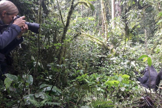 Günsting Gorilla Reisen-Ruhengeri必去景点