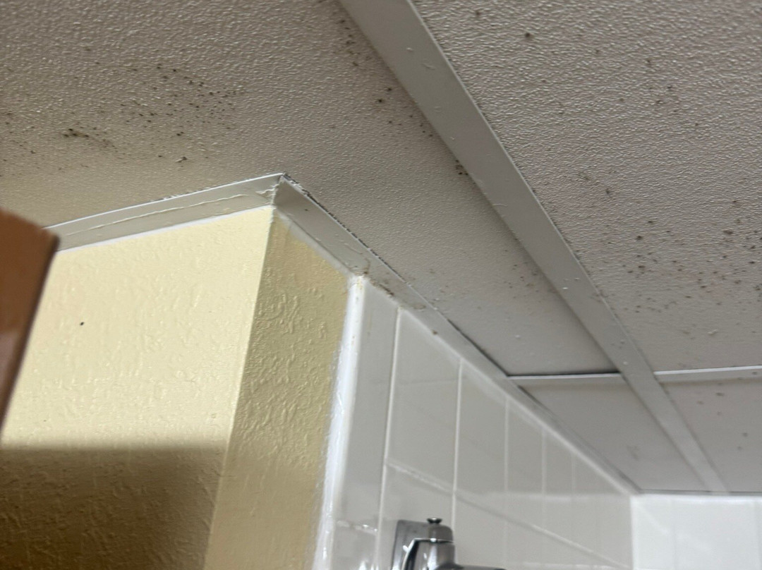 SureStay by Best Western Charlotte Matthews主图