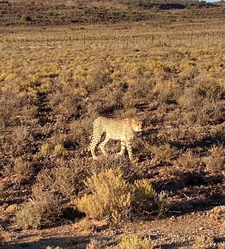 Sanbona Wildlife Reserve-蒙提古必去景点