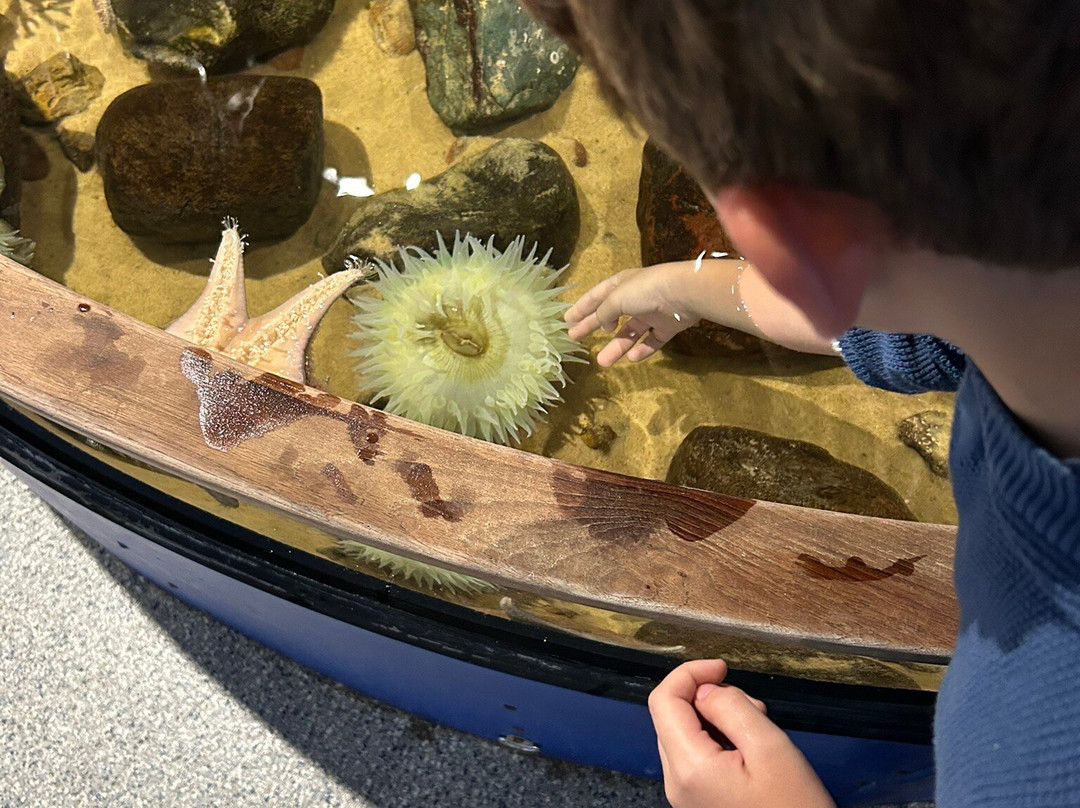 National Mississippi River Museum & Aquarium-迪比克必去景点